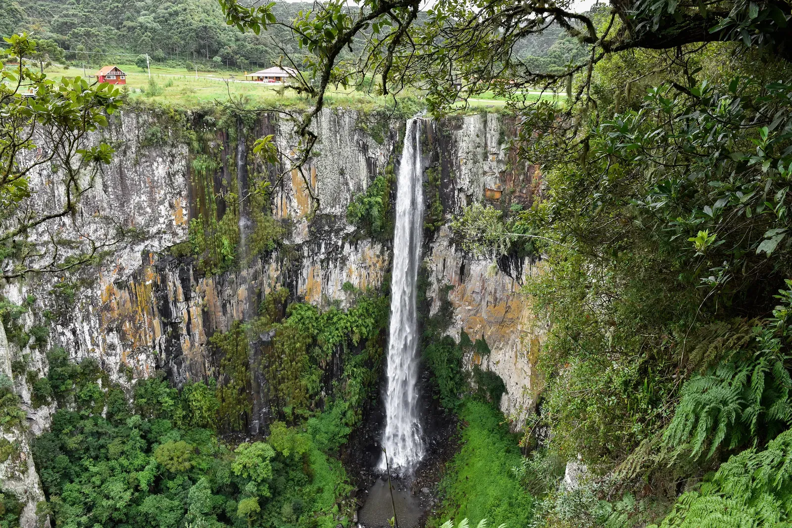 Cascata do Avencal caindo de um paredão alto no meio da mata, com o campo no alto da serra