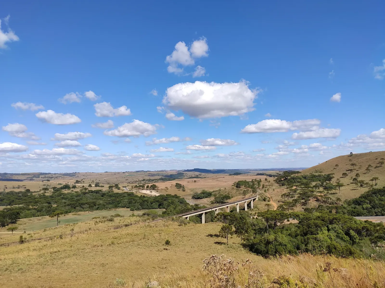 Campos da Coxilha Rica com capões de mata e o viaduto ferroviário do Rio Tatetos ao fundo, sob céu azul