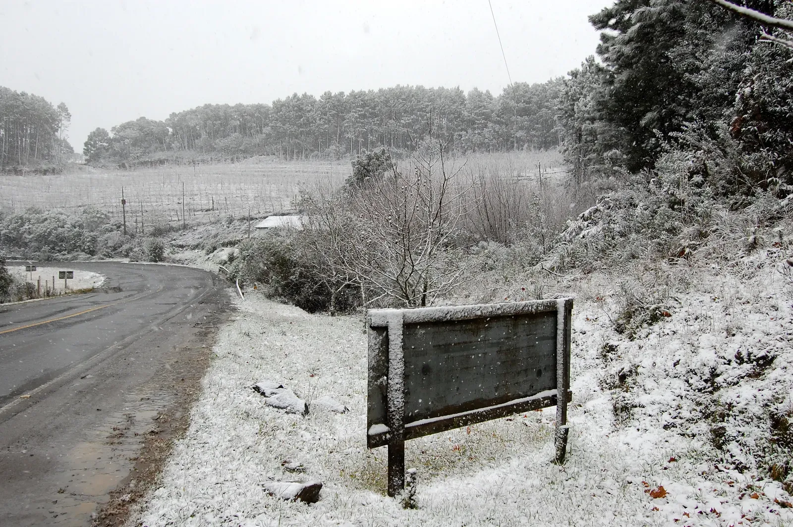 Estrada e campo cobertos de neve no interior de São Joaquim, com cercas e árvores brancas