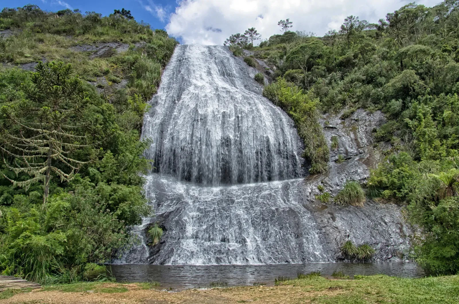 Cascata Véu de Noiva escorrendo em várias faixas brancas por um paredão de pedra, com mata e araucárias em volta